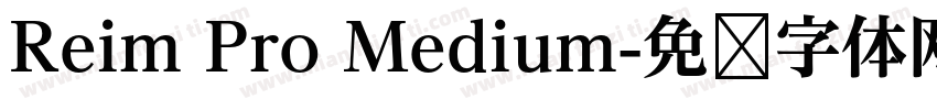 Reim Pro Medium字体转换